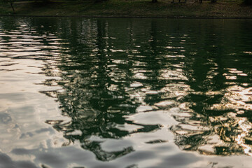 reflection of park trees in the lake water on a sunny day. rest and relaxation