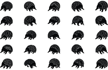 a echidna vector animel