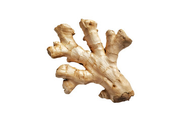Fresh Ginger Root Isolated Black Background Culinary Ingredient,
