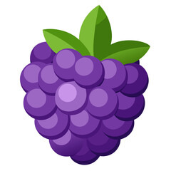 vector illustration of Boysenberry