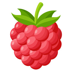 Juicy Raspberry Illustration: A vibrant and detailed illustration of a ripe raspberry, showcasing its juicy texture and refreshing appeal.