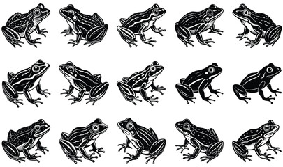 Obraz premium a frog vector