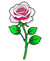 pink rose vector illustration