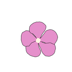 pink flower on white background