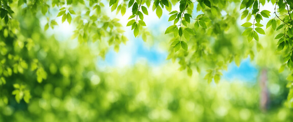 Obraz premium green leaves bokeh, natural spring backdrop, blurred foliage texture, organic concept