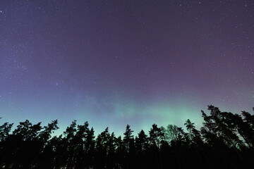 Fototapeta premium Estonia's night sky: a scattering of stars and faint greenish northern lights over the dark silhouette of the forest.