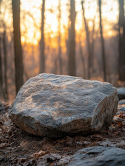 Obraz premium Rocks and stones in a serene forest landscape with trees, water, and autumn hues