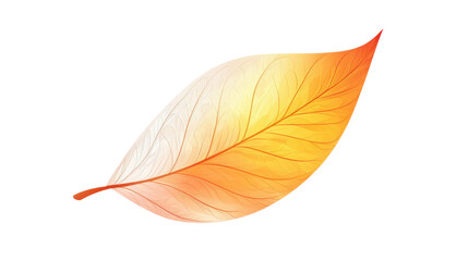 autumn leaf isolated on white background 