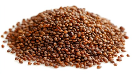 Heap of Brown Organic Seeds Piled Together on a White Background for Agricultural Use