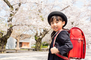 桜並木の小学1年生