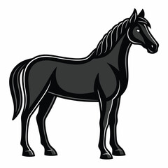 Graceful Wedding Horse in Black Indian Marriage Silhouette