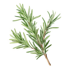 Fototapeta premium flower clipart