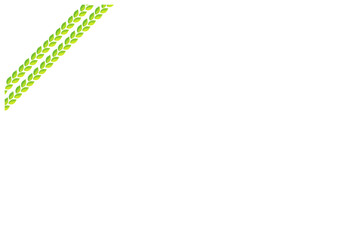 鮮やかな新緑の葉のフレーム素材