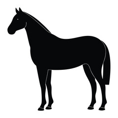 Royal Indian Marriage Horse Traditional Baraat Icon