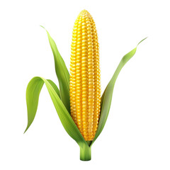 Corn on the Cob Isolated on Transparent Background