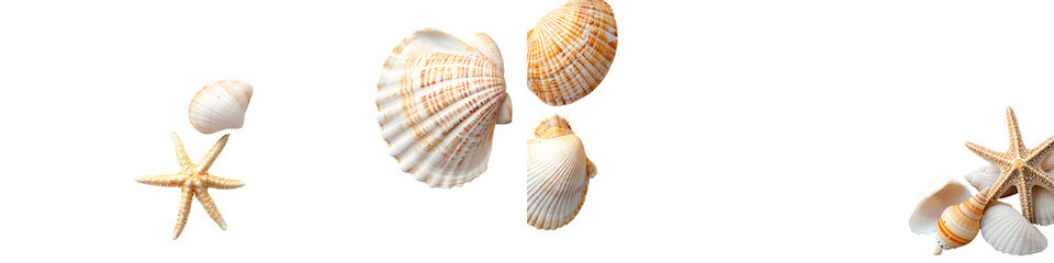 Obraz premium An assortment of diverse seashells and starfish displayed on a sandy beach representing the beauty and diversity of the ocean s marine life