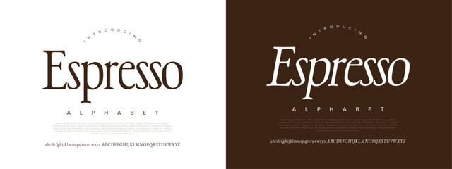 Espresso Modern Elegant Glamour Font Uppercase Lowercase Number and Symbol. Lettering Fashion Designs. Typography condensed serif fonts for design