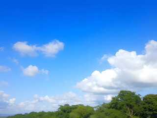 Scenic Blue Sky with White Clouds Above Green Trees - Nature Landscape Scenery Background Photo.