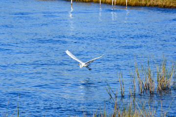 Winter Boating in Orange Beach, Alabama