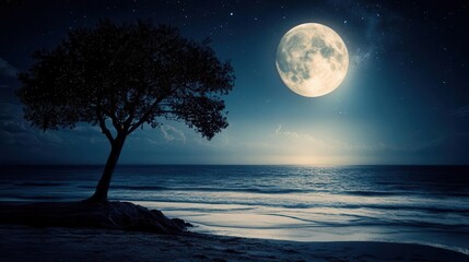 Silhouetted Tree by Calm Ocean Under Bright Full Moon and Starry Night Sky