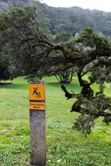 Yellow sign on a green lawn. Slippery and Escorregadio