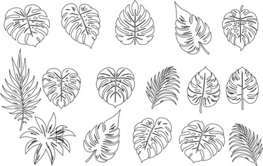 Tropical leaf monstera silhouette vector art illustration © jobaida