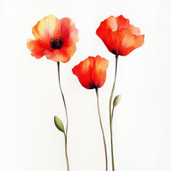 Naklejka premium illustration of Poppies, spring flowers, soft watercolor tones, white background, detailed illustration, cartoonish.