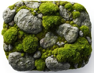 Moss and Stone Texture