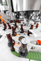 Automated beer bottling in modern factory: innovation and efficiency in beverage production