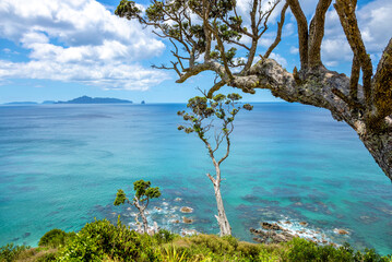 Mangawhai Heads Beach, North Island, New Zealand, Oceania.