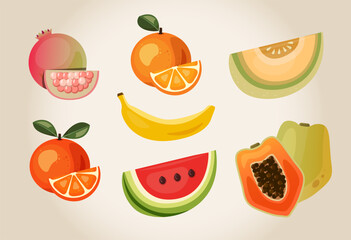 Fresh fruits illustration set vector