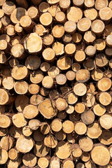 積み上げられた丸太