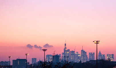 Fototapeta premium OLYMPUS DIGITAL CAMERA