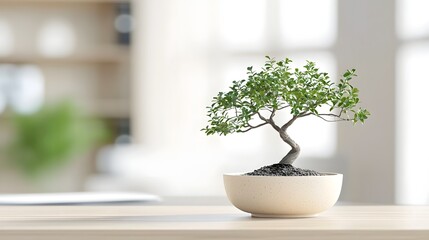 Delicate Miniature Bonsai Tree Planted in Ceramic Pot Placed on Wooden Desk Creating a Calming Zen Inspired Office Atmosphere