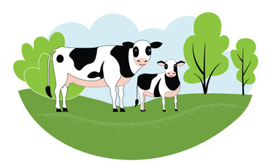 Cows in the field, eating grass.