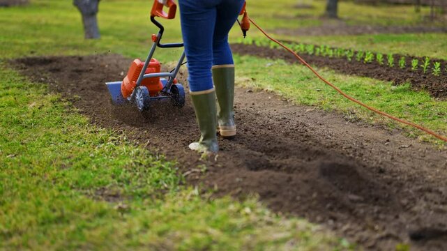 Woman preparing garden beds for planting. Rotovator, garden tiller, rotary tiller or mini cultivator. Cultivators break up compacted soil, improve its structure and aeration.