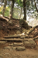 Fototapeta premium 大山阿夫利神社から秋に登る大山の登山道 神奈川県伊勢原市