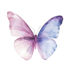 Obraz premium Delicate watercolor butterfly