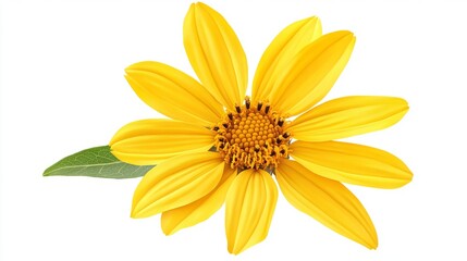 Obraz premium Yellow heliopsis with daisies in 3D watercolor set