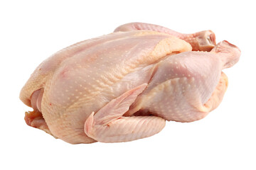 Raw chicken closeup Isolated. Raw chicken, whole uncooked poultry transparent png