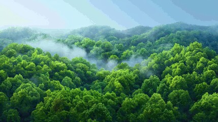 Obraz premium Lush green forests stretch across rolling hills, enveloped in soft mist, creating a serene and tranquil natural landscape, Green Technology.