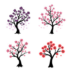 Obraz premium Sakura Tree Vector Collection Design