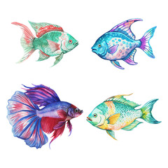 Sea Fish Watercolour Vector Collection Design 