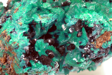 Mineral Liroconite, Sea green crystals with dark navy blue clinoclase crystals, unusual colour, Wheal Gorland, Gwennap, Cornwall, England