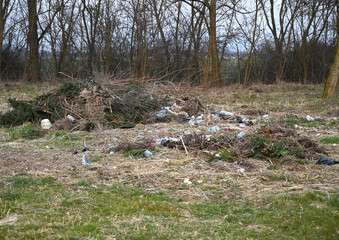 Littered landscape with branches and plastic waste in a forest area during early spring