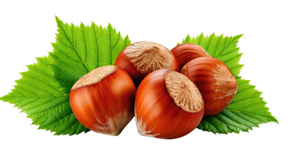 hazelnuts with fresh leaves isolated on transparent background PNG