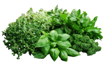 Freshly harvested herbs arranged on a rustic wooden table in a warm kitchen setting isolated on transparent background