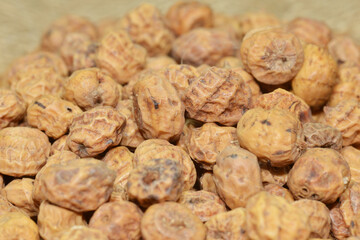 Erdmandel,  Cyperus esculentus