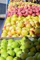 Fresh apples and assorted fruits displayed at a farmers market. Bright red and green apples, alongside oranges, pears, and grapes, create a colorful and inviting selection of seasonal produce.