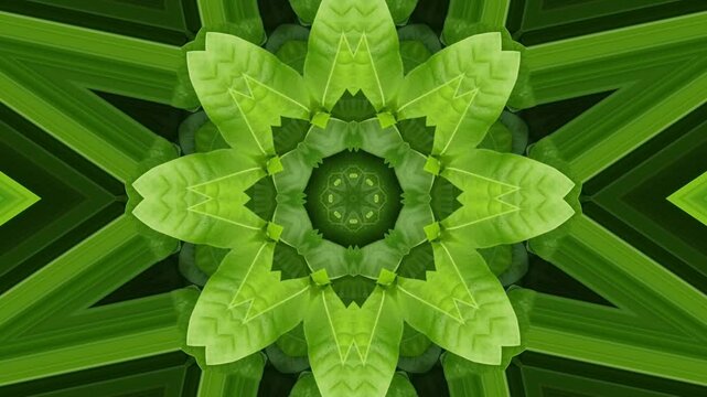 Kaleidoscope pattern created with lush green leaves, forming a symmetrical mandala. perfect for nature-themed projects, meditation visuals, eco-friendly branding and wedding invitations